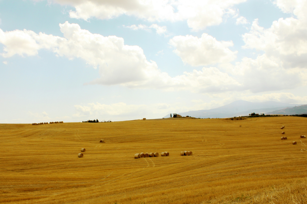 Tuscan Sun